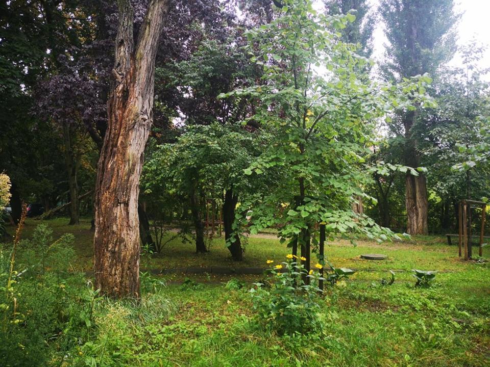 格但斯克Apartament Wroblewski公寓 外观 照片